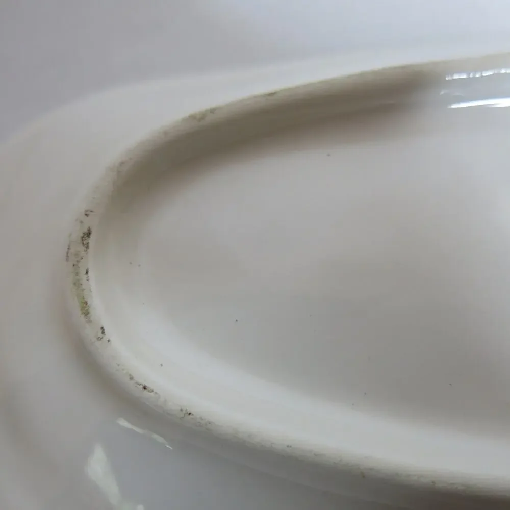 Vintage Carraro Italy Celery Trinket Serving Dish Dragonfly Yellow Green Kitchen